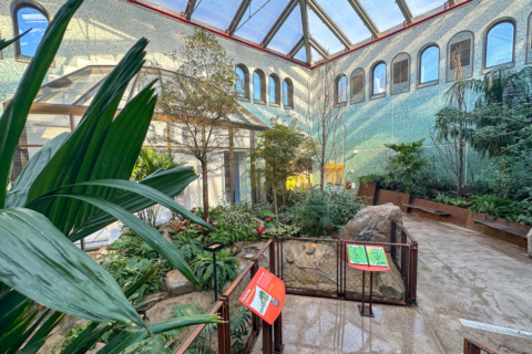 National Zoological Park Bird House