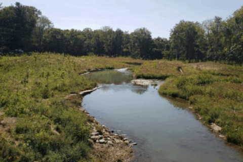 Tuscarora Creek Stream Restoration at Crescent Parke
