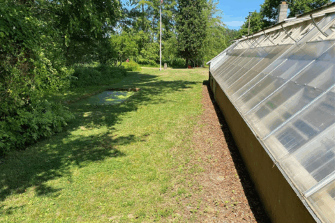 NPS – Kenilworth Aquatic Gardens Greenhouse 3