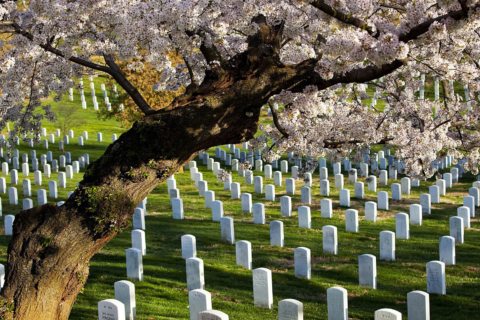 USACE Arlington Cemetery
