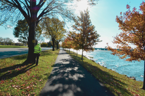 NPS – Tidal Basin Seawall Tree Survey