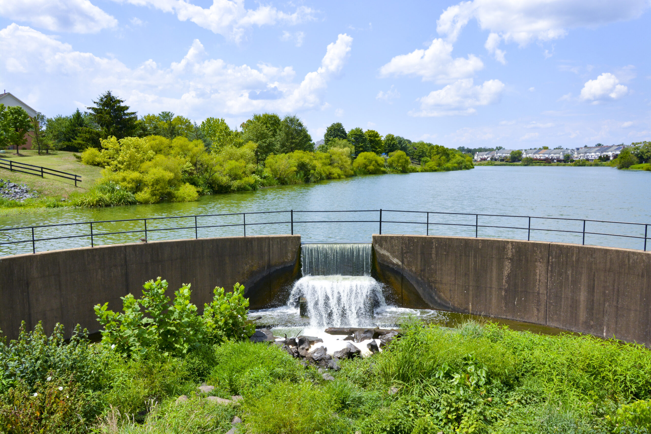 Ashburn Lake_08.09.23__Edit_15