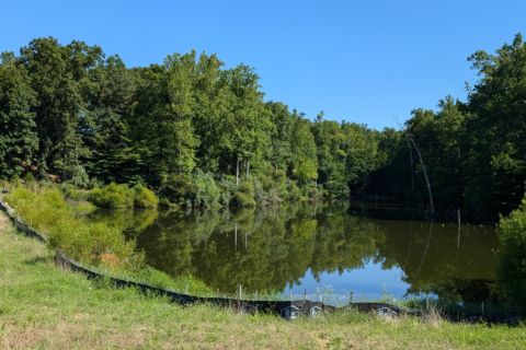 Creighton Hills Dam