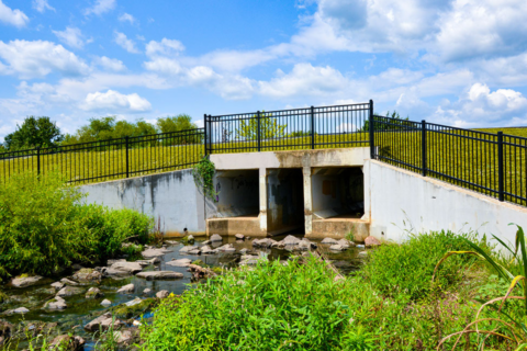Richmond Square Dam