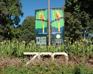 Zoo Smithsonian National Zoological Park - Washington, D.C.