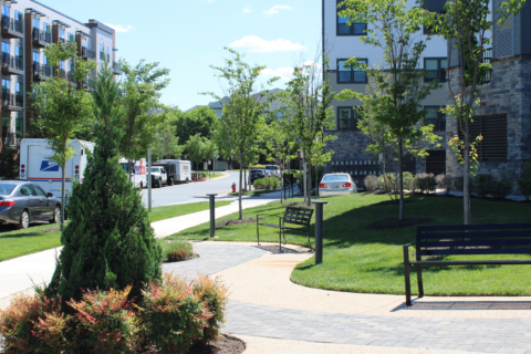 Woodland Park East